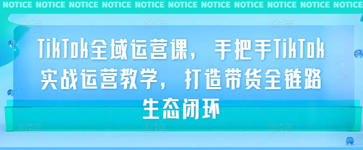 TikTok全域运营课，手把手TikTok实战运营教学，打造带货全链路生态闭环-第二象限