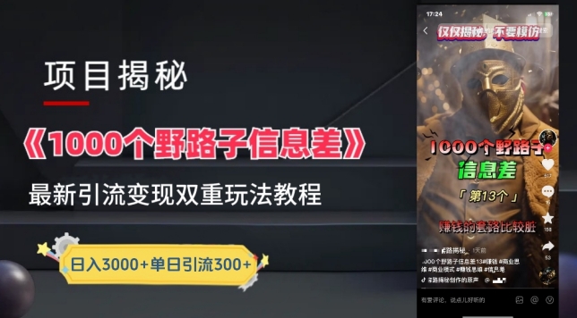 一千个野路子信息差最新玩法教程-变现+引流的玩法具体拆解【揭秘】-第二象限