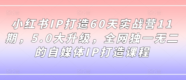 小红书IP打造60天实战营11期，5.0大升级，全网独一无二的自媒体IP打造课程-第二象限