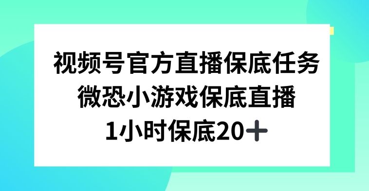 视频号直播任务，微恐小游戏，1小时20+【揭秘】-第二象限