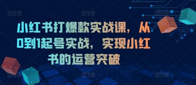 小红书打爆款实战课，从0到1起号实战，实现小红书的运营突破-第二象限