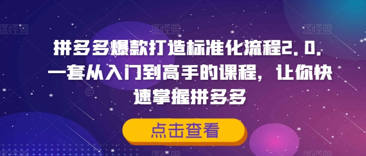 拼多多爆款打造标准化流程2.0，一套从入门到高手的课程，让你快速掌握拼多多-第二象限