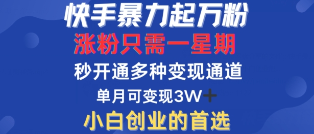 快手暴力起万粉，涨粉只需一星期，多种变现模式，直接秒开万合，单月变现过W【揭秘】-第二象限
