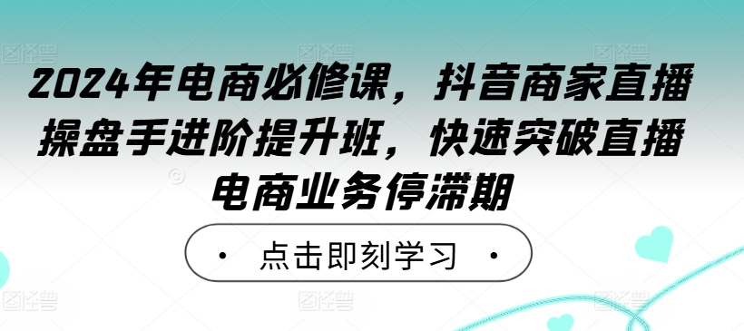 2024年电商必修课，抖音商家直播操盘手进阶提升班，快速突破直播电商业务停滞期-第二象限