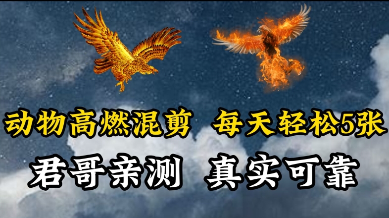 动物超燃混剪，每天轻松5张，剪辑简单大家爱看【揭秘】-第二象限