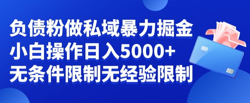 负债粉私域暴力掘金，小白操作入5000，无经验限制，无条件限制【揭秘】-第二象限