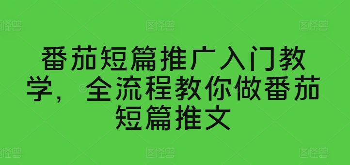 番茄短篇推广入门教学，全流程教你做番茄短篇推文-第二象限
