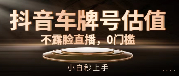抖音车牌号估值，不露脸直播，0门槛，小白秒上手【揭秘】-第二象限