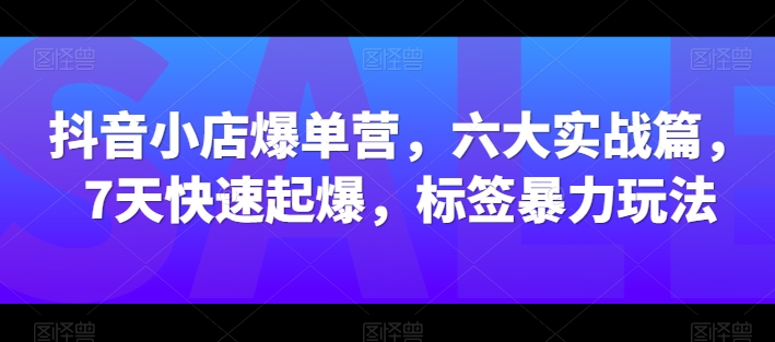 抖音小店爆单营，六大实战篇，7天快速起爆，标签暴力玩法-第二象限