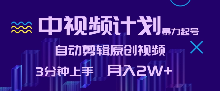 中视频计划暴力起号，自动剪辑原创视频，3分钟上手，月入2W+【揭秘】-第二象限