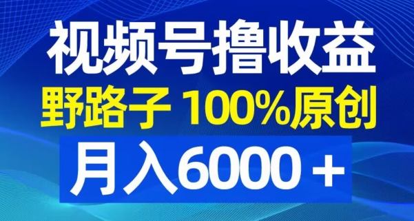 视频号野路子撸收益，100%原创，条条爆款，月入6000＋【揭秘】-第二象限