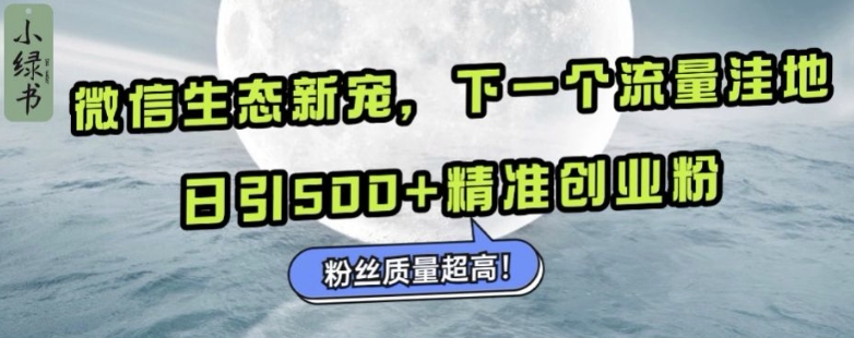 微信生态新宠小绿书：下一个流量洼地，日引500+精准创业粉，粉丝质量超高-第二象限