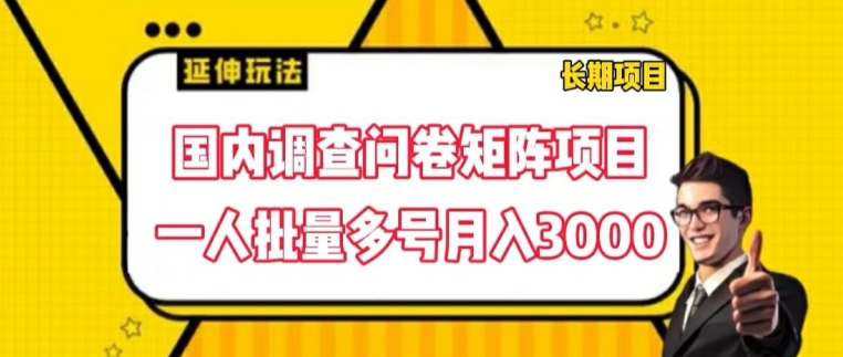 国内调查问卷矩阵项目，一人批量多号月入3000【揭秘】-第二象限