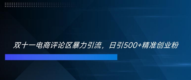 双十一电商评论区暴力引流，日引500+精准创业粉【揭秘】-第二象限