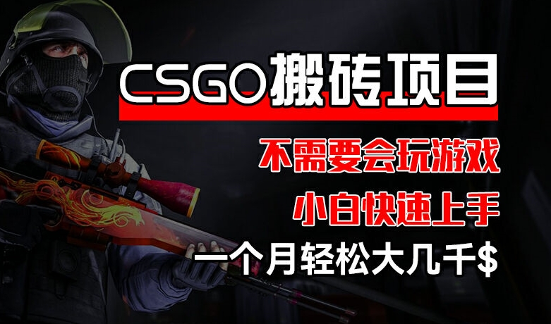 CSGO 装备搬砖项目，操作简单，不需要会玩游戏，小白也能快速上手，一个月轻松大几千【揭秘】-第二象限