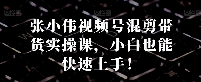 张小伟视频号混剪带货实操课，小白也能快速上手！-第二象限