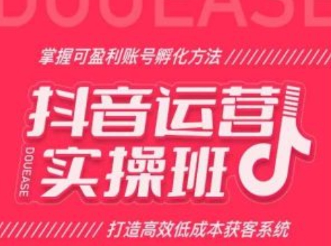 抖音运营实操班，掌握可盈利账号孵化方法，打造高效低成本获客系统-第二象限