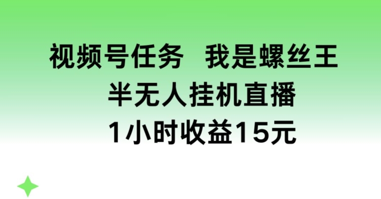 视频号任务，我是螺丝王， 半无人挂机1小时收益15元【揭秘】-第二象限