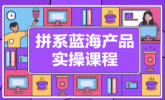 拼系冷门蓝海产品实操课程，从注册店铺到选品上架到流量维护环环相扣-第二象限