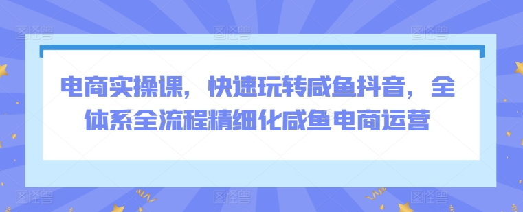 电商实操课，快速玩转咸鱼抖音，全体系全流程精细化咸鱼电商运营-第二象限