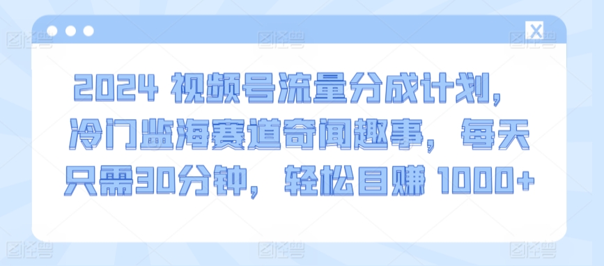 2024视频号流量分成计划，冷门监海赛道奇闻趣事，每天只需30分钟，轻松目赚 1000+【揭秘】-第二象限