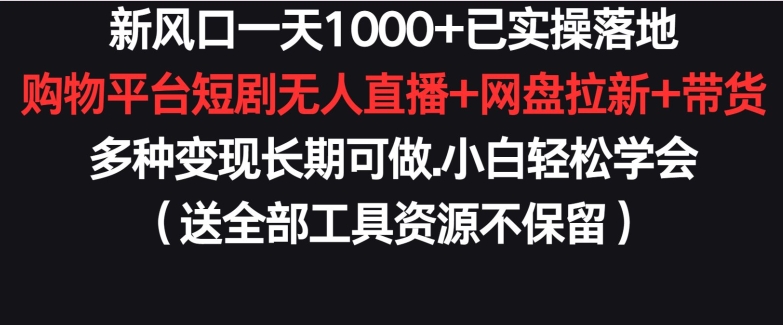新风口一天1000+已实操落地购物平台短剧无人直播+网盘拉新+带货多种变现长期可做【揭秘】-第二象限
