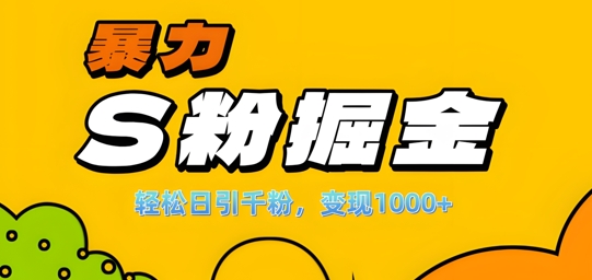 单人单机日引千粉，变现1k+，S粉流量掘金计划攻略【揭秘】-第二象限