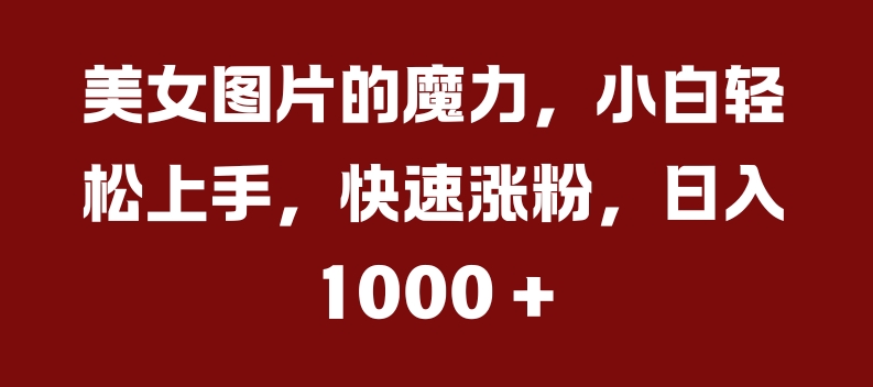 美女图片的魔力，小白轻松上手，快速涨粉，日入几张【揭秘】-第二象限