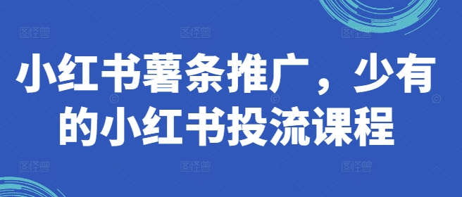 小红书薯条推广，少有的小红书投流课程-第二象限