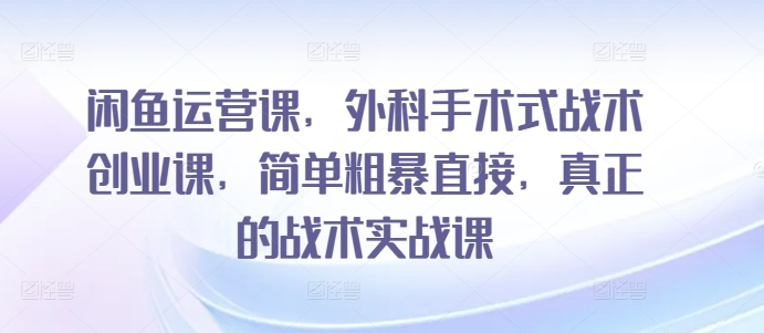 闲鱼运营课，外科手术式战术创业课，简单粗暴直接，真正的战术实战课-第二象限