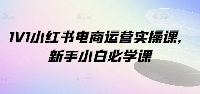1V1小红书电商运营实操课，新手小白必学课-第二象限