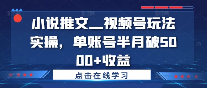 小说推文—视频号玩法实操，单账号半月破5000+收益-第二象限