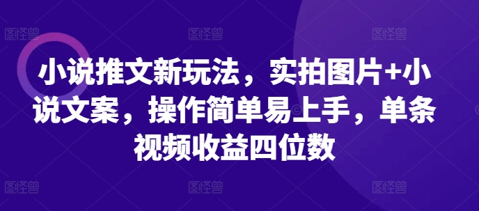 小说推文新玩法，实拍图片+小说文案，操作简单易上手，单条视频收益四位数-第二象限