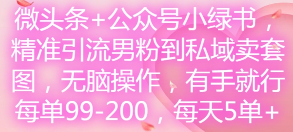 微头条+公众号小绿书，精准引流男粉到私域卖套图，无脑操作，有手就行，每单99-200，每天5单-第二象限