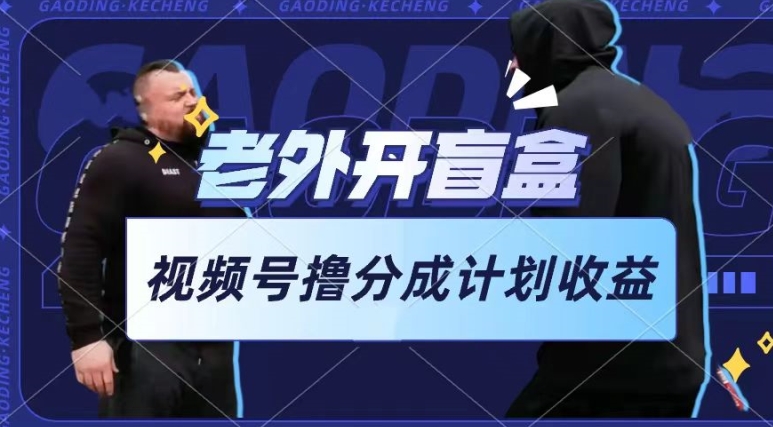 老外开盲盒视频，撸视频号分成计划收益，每天只需一小时，新手小白轻松上手【揭秘】-第二象限