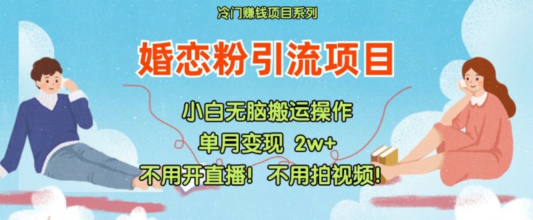 小红书婚恋粉引流，不用开直播，不用拍视频，不用做交付【揭秘】-第二象限