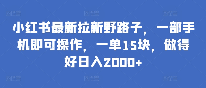 小红书最新拉新野路子，一部手机即可操作，一单15块，做得好日入2000+【揭秘】-第二象限