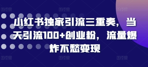 小红书独家引流三重奏，当天引流100+创业粉，流量爆炸不愁变现【揭秘】-第二象限