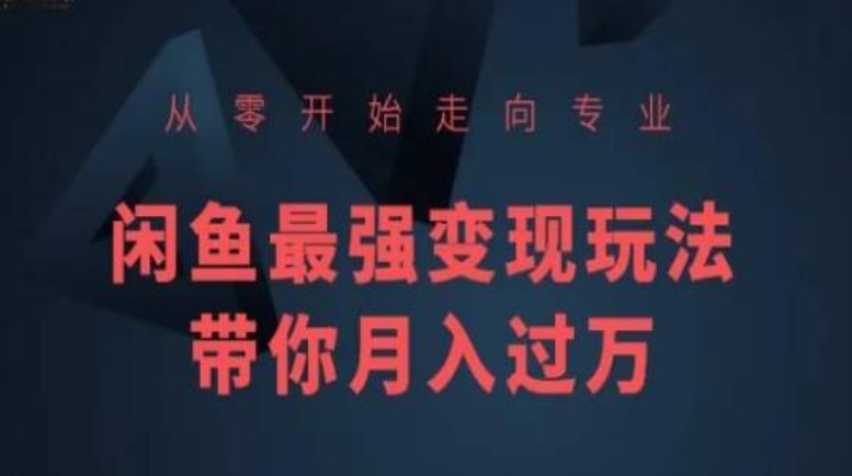 从零开始走向专业，闲鱼最强变现玩法带你月入过万-第二象限