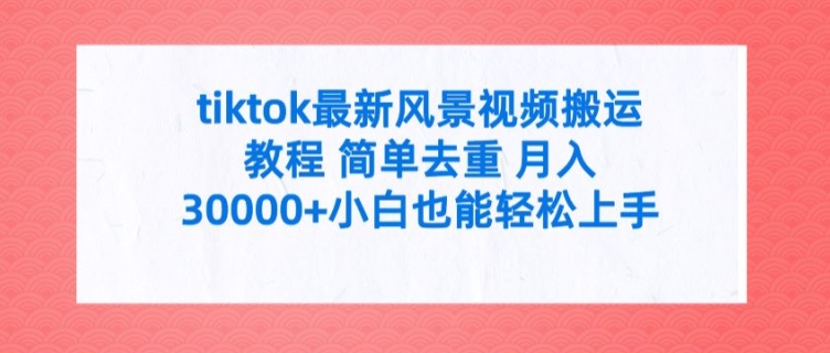 tiktok最新风景视频搬运教程 简单去重 月入3W+小白也能轻松上手【揭秘】-第二象限
