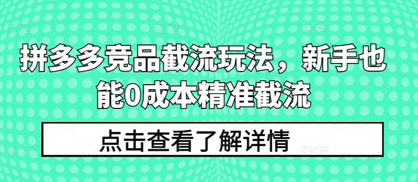 拼多多竞品截流玩法，新手也能0成本精准截流-第二象限