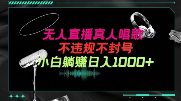 抖音24小时无人直播音乐，不违规，不封号纯撸音浪，小白实操当天日入1000+【揭秘】-第二象限