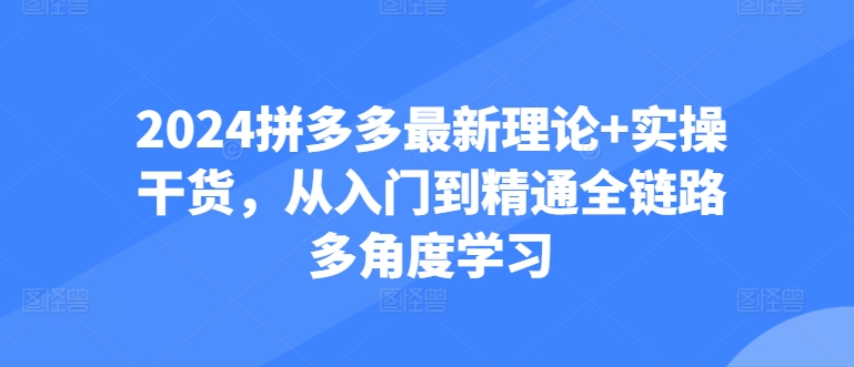2024拼多多最新理论+实操干货，从入门到精通全链路多角度学习-第二象限