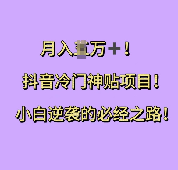 抖音冷门神贴项目，小白逆袭的必经之路，月入过W【揭秘】-第二象限