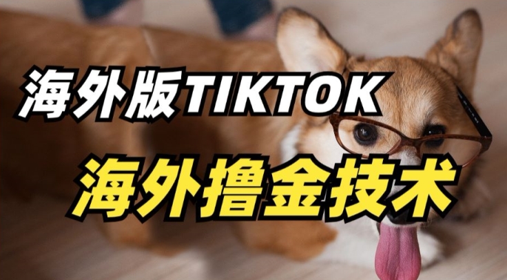 抖音海外版tiktok撸金技术，这个风口行业，赚钱真的不难【揭秘】-第二象限