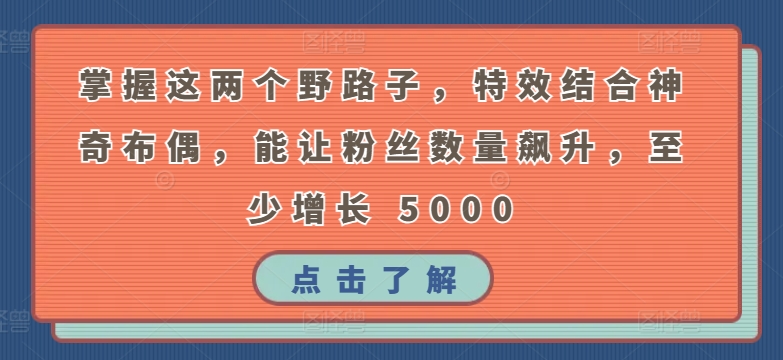 掌握这两个野路子，特效结合神奇布偶，能让粉丝数量飙升，至少增长 5000【揭秘】-第二象限