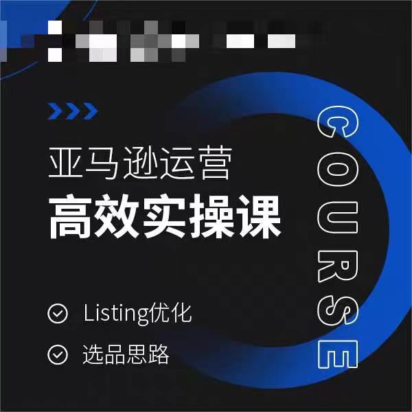 亚马逊运营高效实操课，Listing优化，选品思路-第二象限
