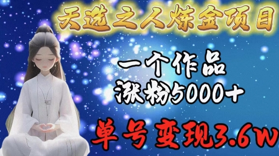 天选之人炼金项目，一个作品涨粉5000+，单号变现3.6w【揭秘】-第二象限
