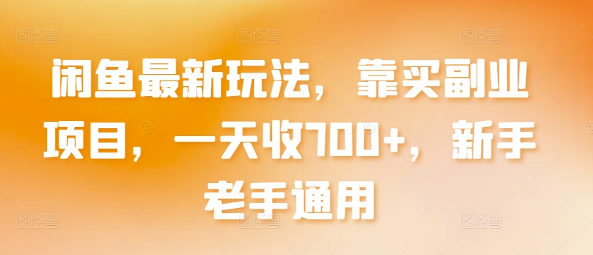 闲鱼最新玩法，靠买副业项目，一天收700+，新手老手通用【揭秘】-第二象限