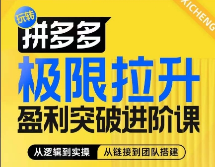 拼多多极限拉升盈利突破进阶课，​从算法到玩法，从玩法到团队搭建，体系化系统性帮助商家实现利润提升-第二象限